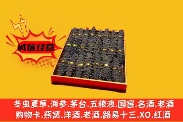 宿迁市泗洪回收海参